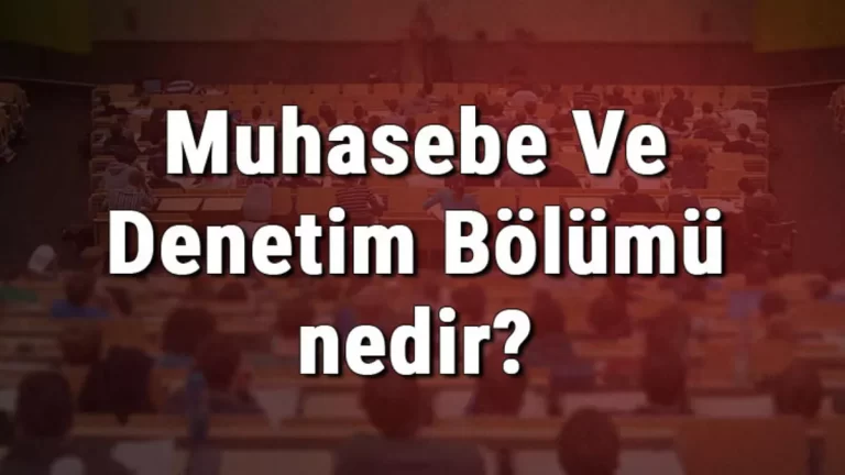 Muhasebe Ve Denetim Bölümü nedir ve mezunu ne iş yapar?